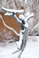 BYUI Snow - Feb 2026