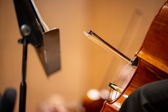 Sinfonietta Concert - Feb 2026
