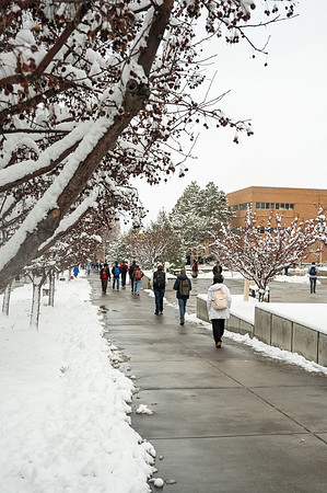 Snow Photos- Feb 2026