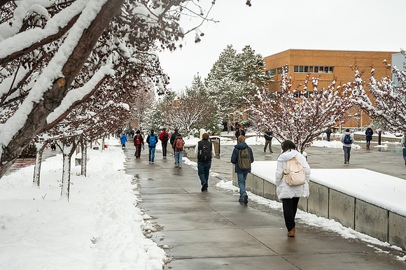 Snow Photos- Feb 2026