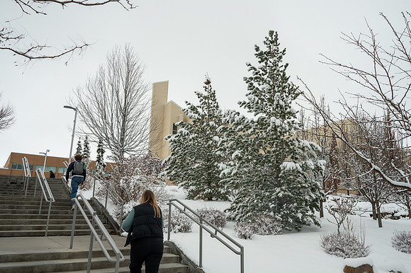 Snow Photos- Feb 2026