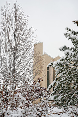 Snow Photos- Feb 2026