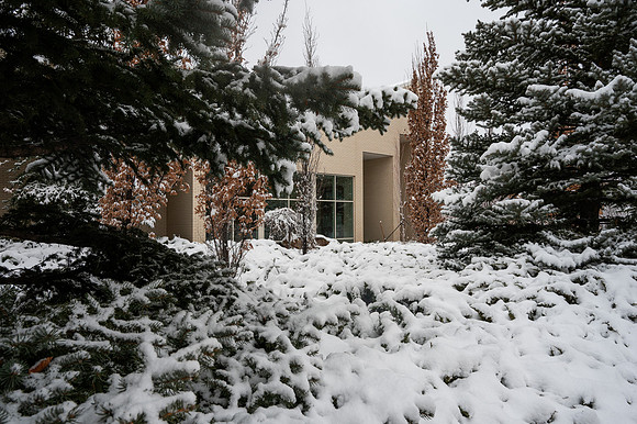 Snow Photos- Feb 2026
