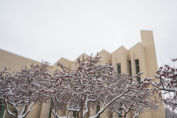 Snow Photos- Feb 2026
