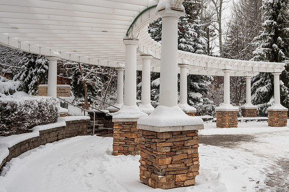 Snow Photos- Feb 2026