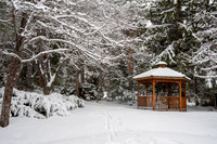 Snow Photos- Feb 2026