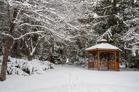Snow Photos- Feb 2026