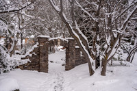 Snow Photos- Feb 2026