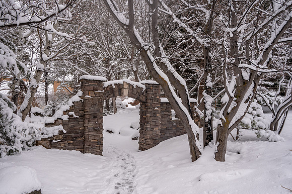 Snow Photos- Feb 2026