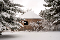 Snow Photos- Feb 2026