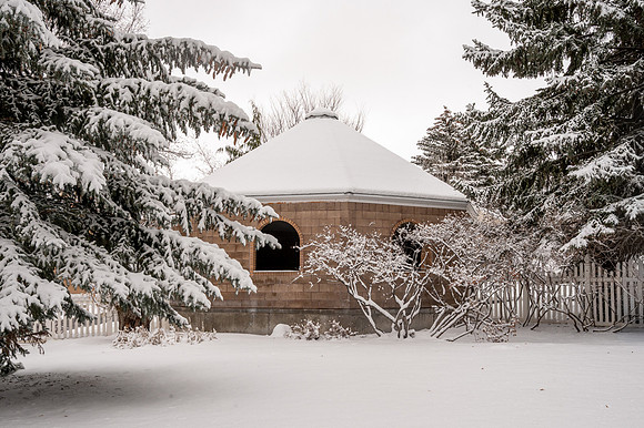 Snow Photos- Feb 2026
