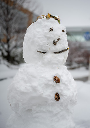 Snow Day - Feb. 2026
