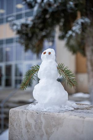 Snow Day - Feb. 2026