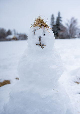 Snow Day - Feb. 2026