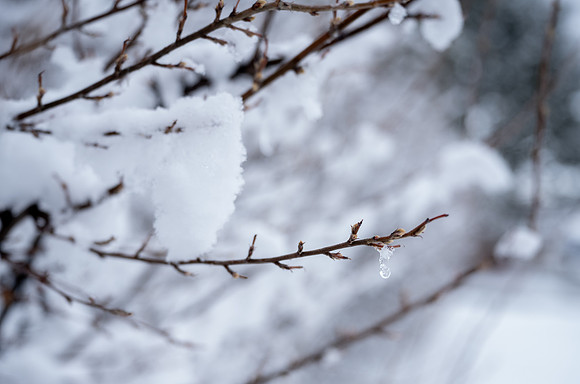 Snow Day - Feb. 2026