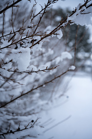 Snow Day - Feb. 2026