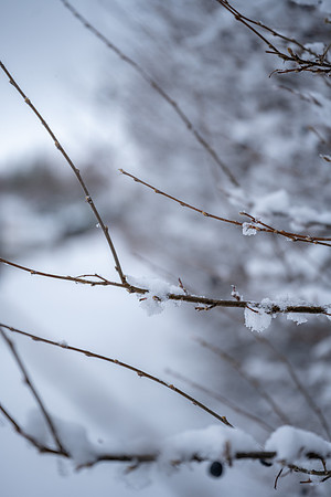 Snow Day - Feb. 2026