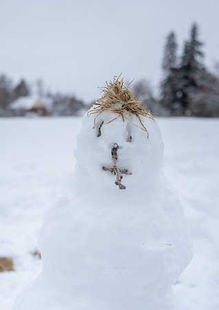 Snow Day - Feb. 2026
