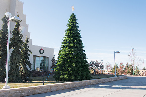 Christmas Tree at the Taylor Quad.