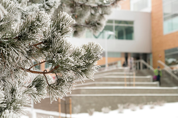 Students on campus during winter, tree with Manwaring Center behind it