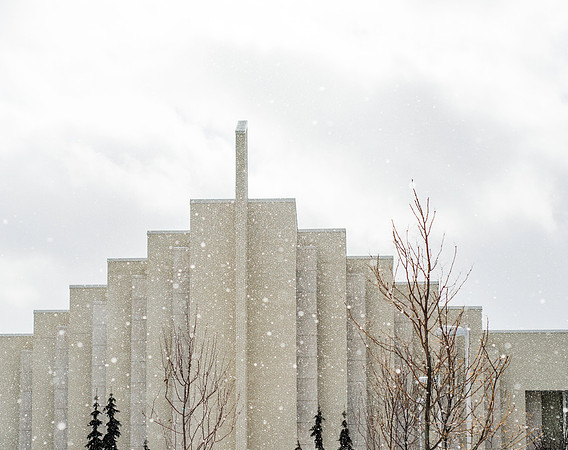 Snow falls quietly outside of the Taylor Building.