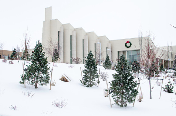 Winter and Christmas scenes on campus around the Taylor Quad with fresh fallen snow