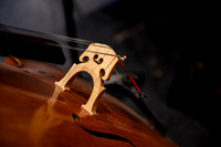 Sinfonietta Idaho Performance Tour - Feb 2026