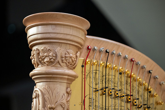 Sinfonietta Idaho Performance Tour - Feb 2026