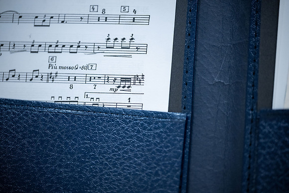 Sinfonietta Idaho Performance Tour - Feb 2026