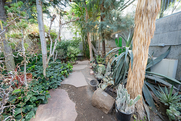 Arid Room - Mar 2026