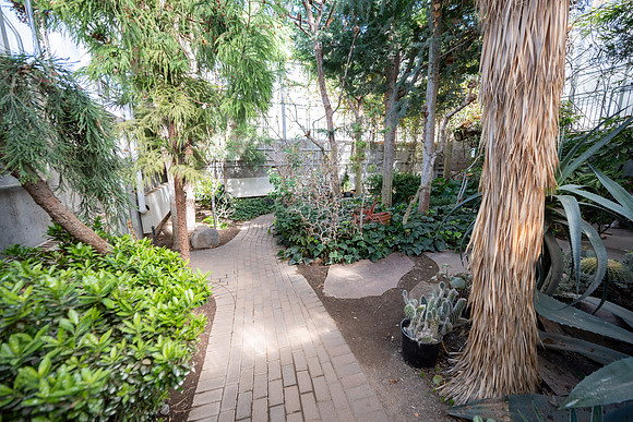 Arid Room - Mar 2026