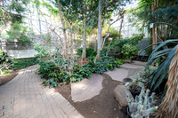 Arid Room - Mar 2026