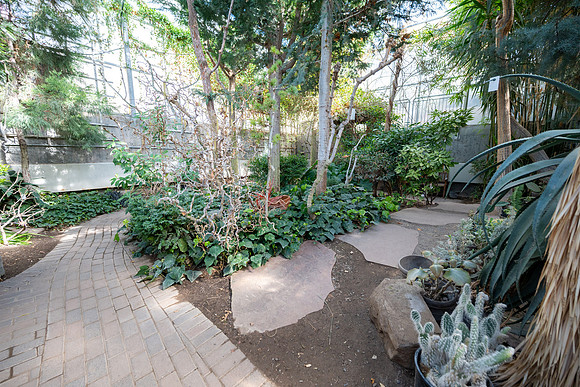Arid Room - Mar 2026