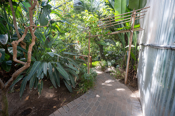 Jungle Room - Mar 2026