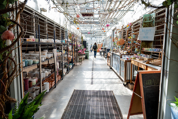 Plant Shop - Mar 2026