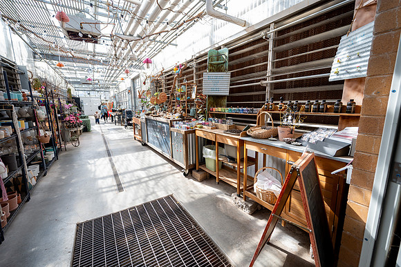 Plant Shop - Mar 2026