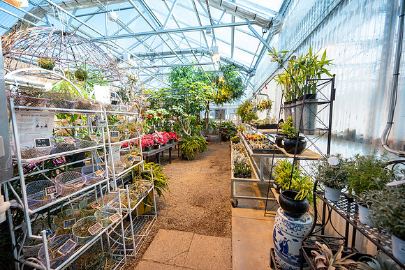 Plant Shop - Mar 2026