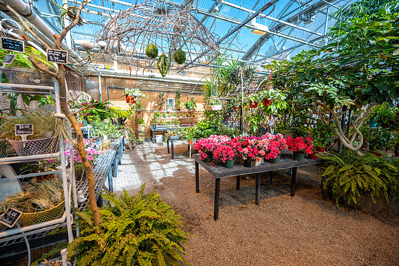 Plant Shop - Mar 2026