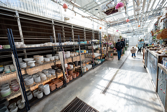 Plant Shop - Mar 2026