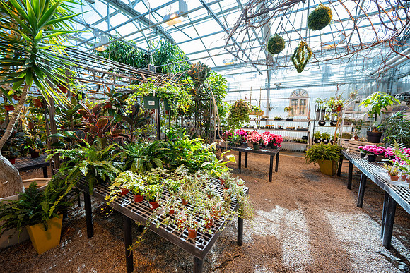 Plant Shop - Mar 2026