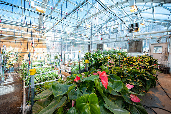 Plant Shop - Mar 2026