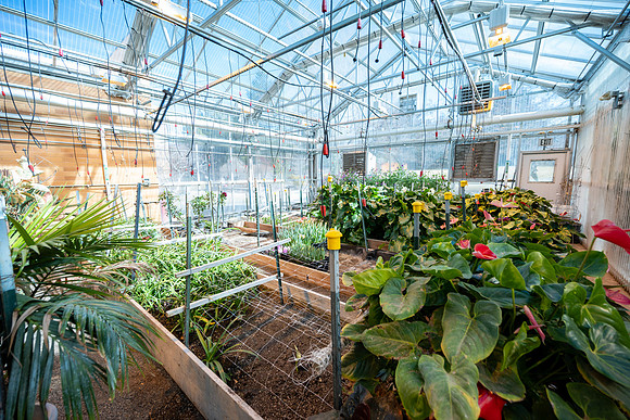Plant Shop - Mar 2026