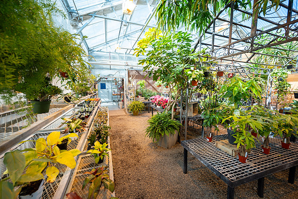 Plant Shop - Mar 2026