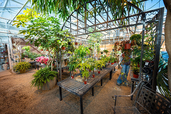 Plant Shop - Mar 2026
