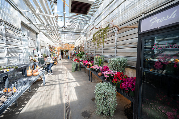 Plant Shop - Mar 2026