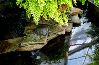 Scripture Garden - Mar 2026