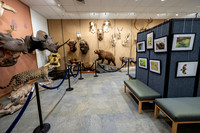 Wildlife Museum - Mar 2026