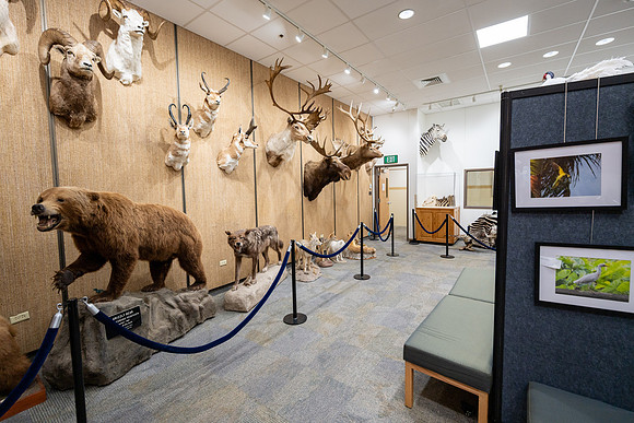 Wildlife Museum - Mar 2026