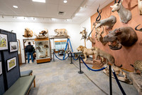 Wildlife Museum - Mar 2026