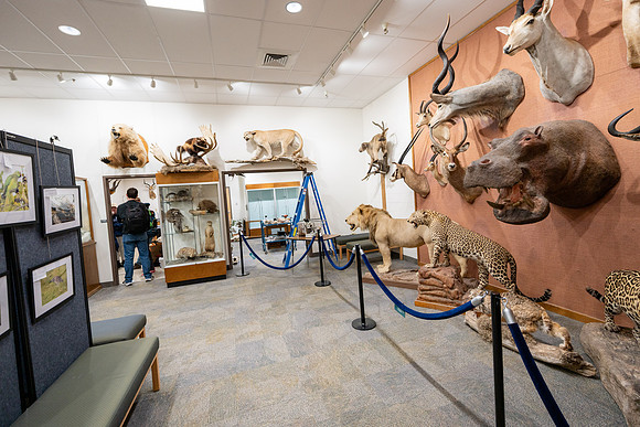 Wildlife Museum - Mar 2026